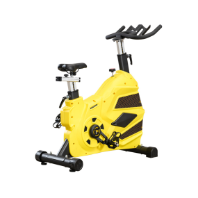 Exercise Bike Manufacturer - Professional Magnetic Transformers Indoor Bike