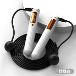 Jump Rope Factory - Intelligent Counting Cordless Weighted Ball