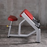 Bicep Curl Machine Factory - Professional Roman Chair for Gym Strength Training