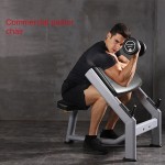 Bicep Curl Machine Factory - Professional Roman Chair for Gym Strength Training