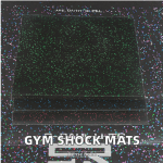 Gym Flooring Supplier - High Density Anti-Slip Rubber Absorption Mats