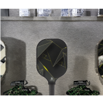 Pickleball Paddle Supplier - Professional Tournament Grade Indoor Outdoor