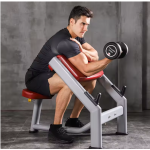 Bicep Curl Machine Factory - Professional Roman Chair for Gym Strength Training