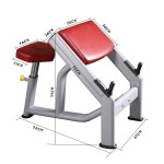 Bicep Curl Machine Factory - Professional Roman Chair for Gym Strength Training