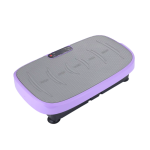 Vibration Machine Factory - Home Mini Fat Shaking Fitness Equipment