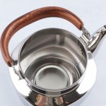 Tea Pot Factory - 1.0L Stainless Steel Square Stove Top Kettle