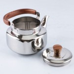 Tea Pot Factory - 1.0L Stainless Steel Square Stove Top Kettle