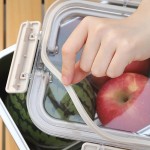 Food Container Manufacturer - Big Capacity Fruit Dumpling Storage Container