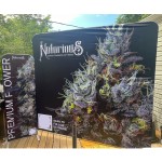 Backdrop Wall Supplier - Custom Pop Up Exhibition Booth