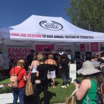 Pop up Canopy Manufacturer - 10x20ft Outdoor Exhibition Tent