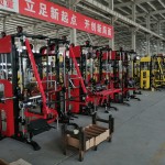 Training Rack Manufacturer - Squat Combination Functional Rack