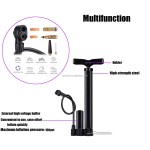 Bike Pump Supplier - Portable High Pressure Inflator