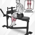 Calf Raise Machine Factory - Seated Leg Training with Band Pegs