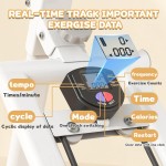 Stair Stepper Factory - Home Use with Handlebar 330LBS