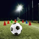 Traffic Cones Manufacturer - 7 Inch Sport Training Marker