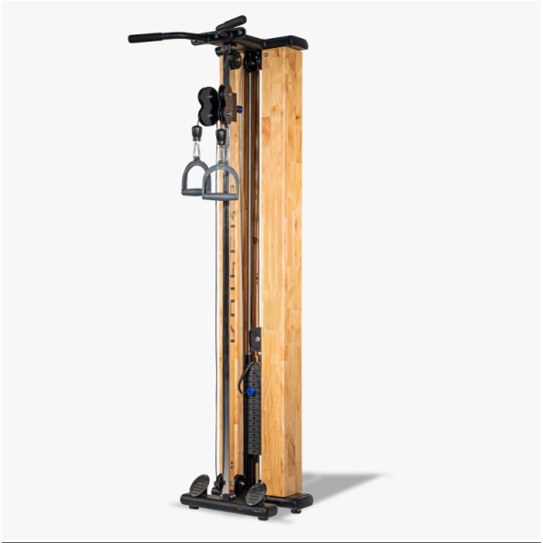 Cable Machine Manufacturer - Low-pull Integrated Gantry Training