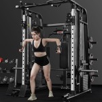Smith Machine Manufacturer - Small Bird Deep Squatting Frame