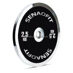 Bumper Plates Factory - IPF Level Power Lifting Competition