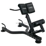 Back Extension Bench Factory - 45 Degree Lower Back Exercise Equipment
