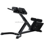Roman Chair Manufacturer - Hyperextension Back Extension Home Gym