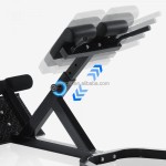 Roman Chair Manufacturer - Hyperextension Back Extension Home Gym