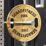 Weight Plates Factory - Golden Calibrated Steel Bumper