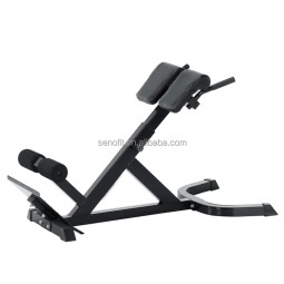 Roman Chair Manufacturer - Hyperextension Back Extension Home Gym