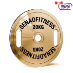 Weight Plates Factory - Golden Calibrated Steel Bumper