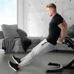 Roman Chair Manufacturer - Hyperextension Back Extension Home Gym