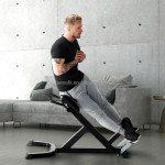 Roman Chair Manufacturer - Hyperextension Back Extension Home Gym