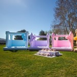 Inflatable Castle Factory - Mini Wedding Bounce House for Party