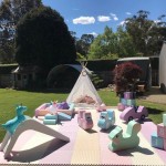 Playground Equipment Manufacturer - Indoor Soft Play Party Ball Pit