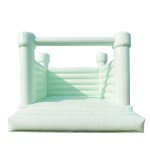 Bounce House Supplier - Pure White Jumping Castle with Slide