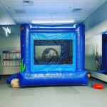 Bounce Castle Supplier - Custom Inflatable Jumping Castle Sets
