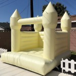 Inflatable Playground Manufacturer - Pure White Bounce House with Slide