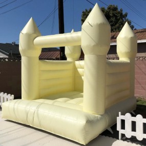 Inflatable Playground Manufacturer - Pure White Bounce House with Slide