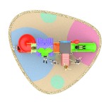 Playground Slide Factory - Good Quality Preschool Plastic Slide