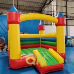 Bubble Bouncy House Supplier - Transparent PVC Bubble Inflatable House