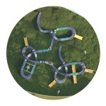 Playground Equipment Manufacturer - Plastic Gymnastic Balance Training Kit