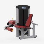 Leg Extension Factory - Seated Leg Curl Extension Dual Machine