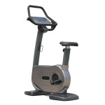 Stationary Bike Manufacturer - Hot Sale Recumbent Exercise Bike