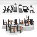Gym Set Manufacturer - OEM Multi-Function Plate Loaded Machines