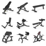 Strength Training Equipment Factory - Steel Gym Machines for Fitness Centers