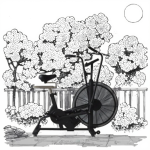 Exercise Bike Manufacturer - Steel Air Bike Indoor Gym Equipment