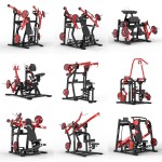 Training Rack Supplier - Multi-Functional Rig Training Rack