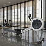 Air Rower Factory - Fitness Club Flywheel Rower Gym Equipment