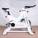 Indoor Cycling Supplier - Professional Gym Master Fitness Spin Bike