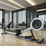 Air Rower Factory - Fitness Club Flywheel Rower Gym Equipment