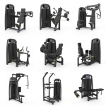 Gym Equipment Factory - Pin Load Selection Lateral Raise Machine