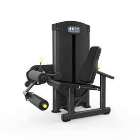 Leg Extension Factory - Seated Leg Curl Extension Dual Machine